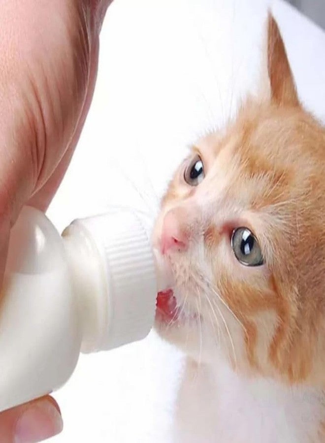 BohoBark Milk Feeding Bottle Set for Puppies, for Cats and Dog, Kitten, Rabbit with Niple and Cleaning Brush,Bottle 60 ml White. - Image 4