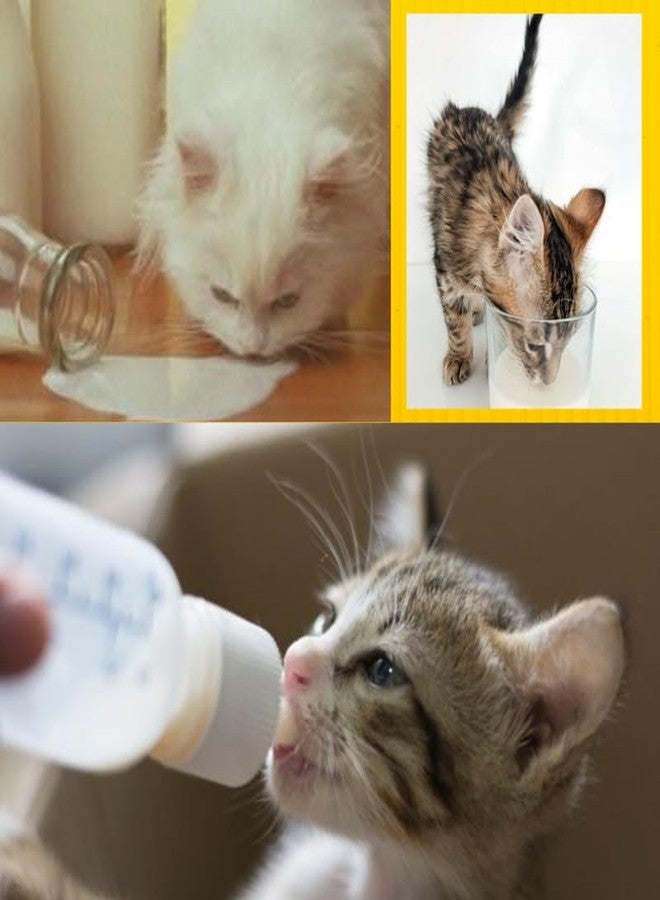 BohoBark Milk Feeding Bottle Set for Puppies, for Cats and Dog, Kitten, Rabbit with Niple and Cleaning Brush,Bottle 60 ml White. - Image 3