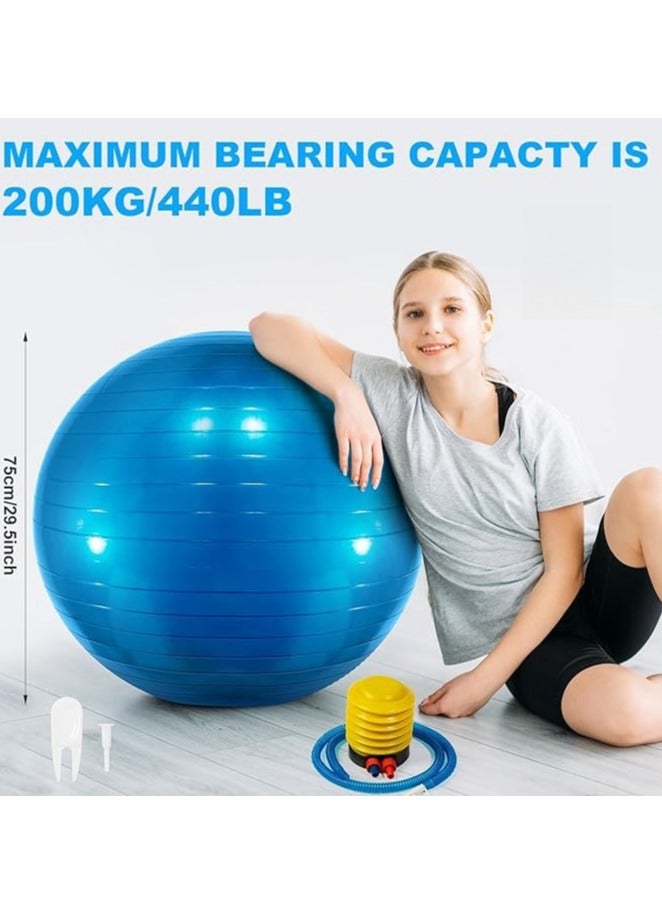 اسم المحتوى ناريلا Yoga Gym Swiss Ball,Exercise Ball PVC Stability Balance Yoga Ball Chair Quick Pump for Physical Workout Pregnancy Home Office Gym Equipment - Image 1