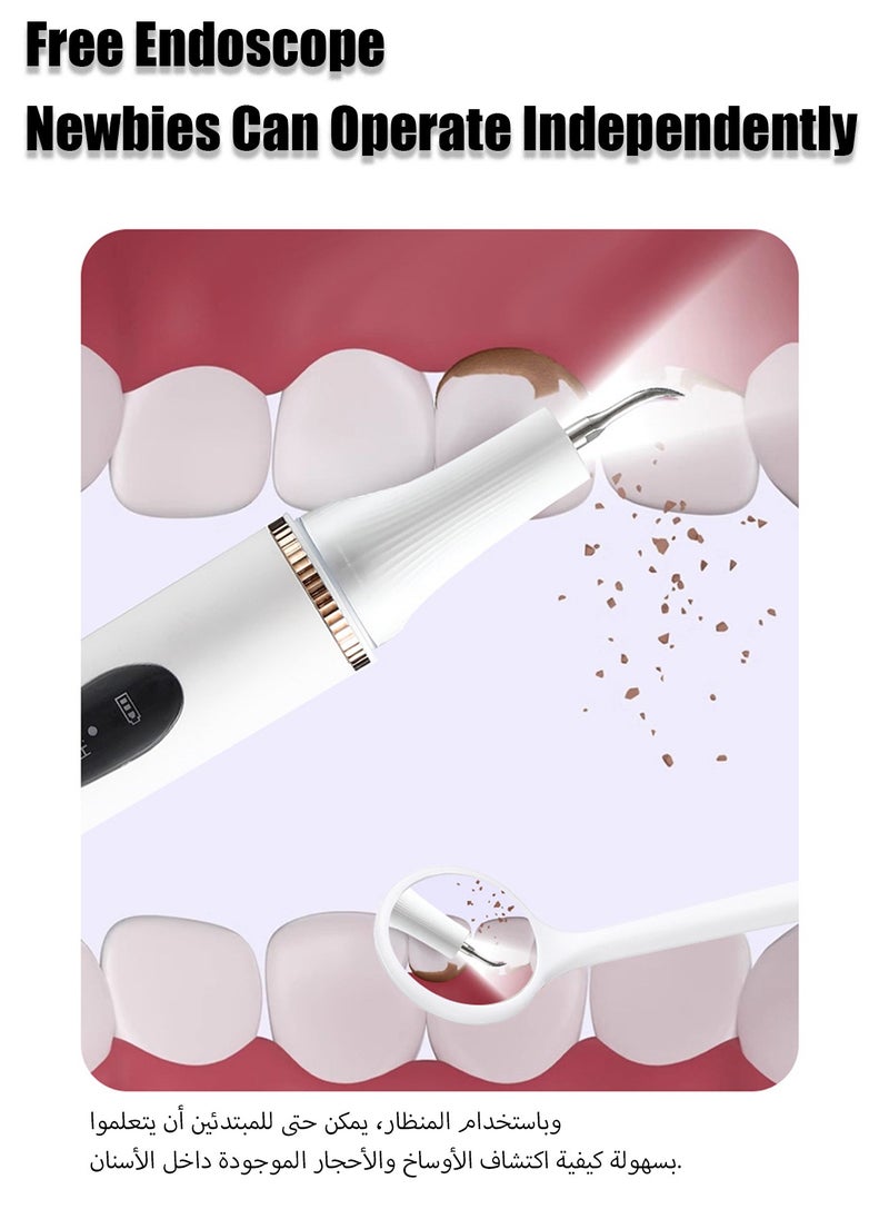 Generic - Electric teeth cleaner for home use powerful sonic 5 modes rechargeable teeth cleaning set - Image 1