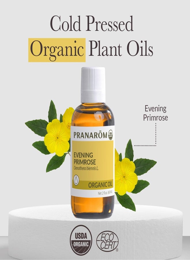 Pranarom - Evening Primrose Virgin Plant Oil - 2oz - Image 3