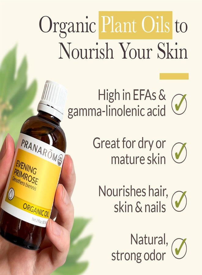 Pranarom - Evening Primrose Virgin Plant Oil - 2oz - Image 4