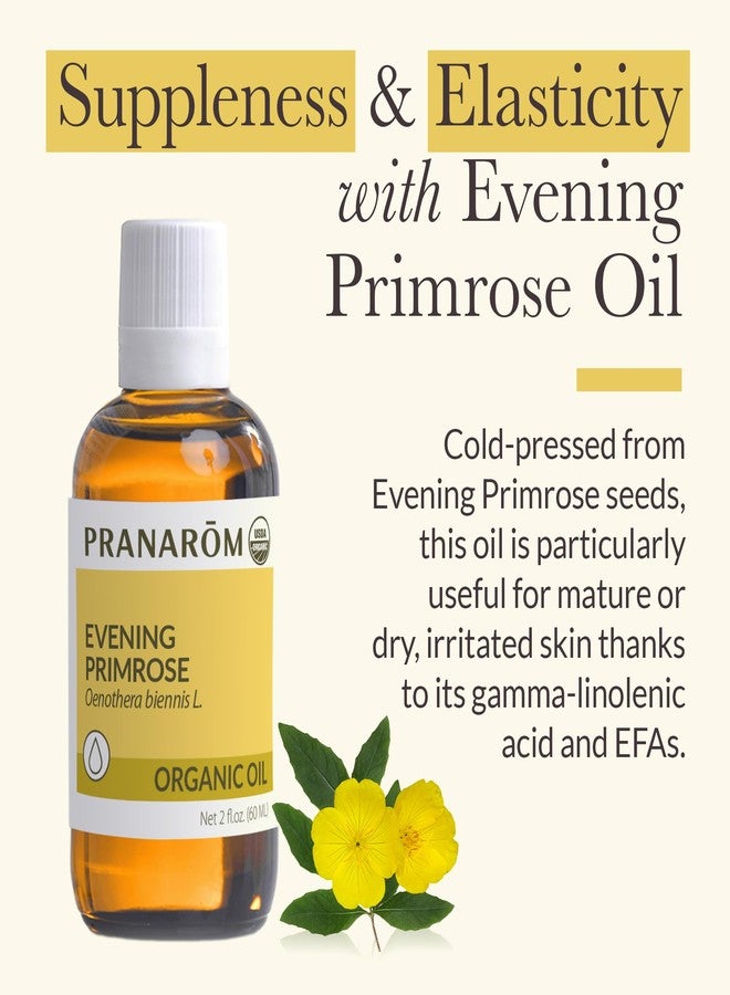 Pranarom - Evening Primrose Virgin Plant Oil - 2oz - Image 2