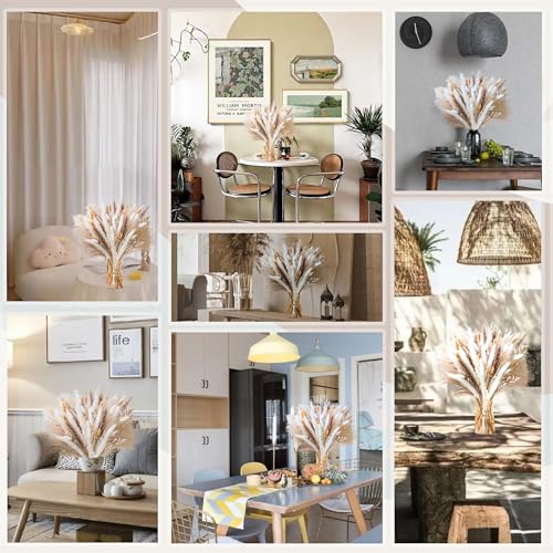 NTLPAMPA Natural Pampas Grass 8kind Grass Mix Bouquet | Dried Pampas Bouquet for Wedding Boho Flowers Home Table Decor Desk Decor, Rustic Farmhouse Decor (93PCS) - Image 2