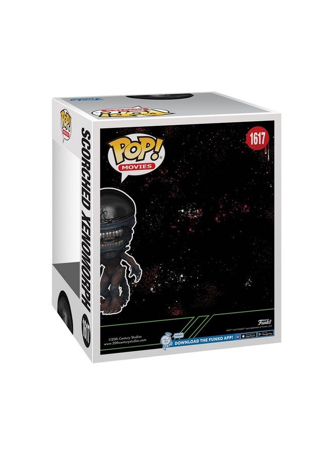 Funko فانكو بوب! سوبر: كائنات فضائية رومولوس - زينومورف محترق - تمثال فينيل قابل للجمع - فكرة هدية - منتجات رسمية - للأطفال والبالغين - عشاق الرعب - نموذج لجمع المعروضات - Image 3