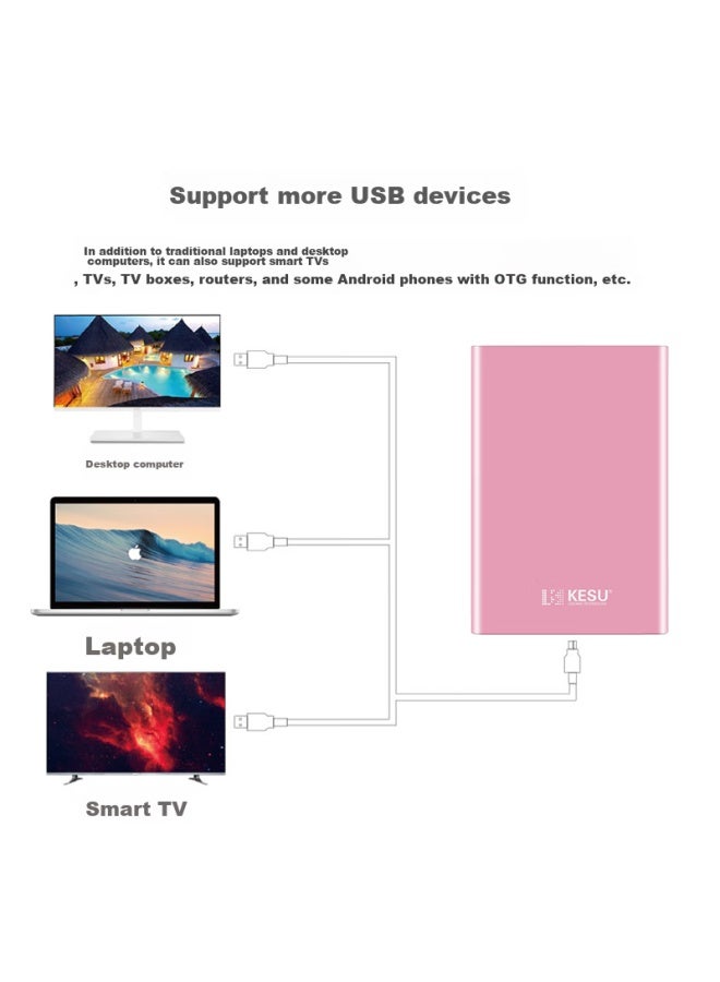 Kesu Portable Hard Drive, 500gb, Usb3.0 K201, 2.5-inch, Premium Metal Cherry Blossom Pink, External Mechanical Hard Drive For File And Photo Backup, Large Usb Flash Drive - Image 2
