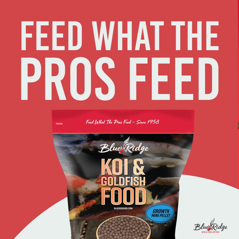 Blue Ridge Koi Fish Food 5lb - Koi Food Mini Growth Formula, Goldfish Food, Premium Fish Food for Ponds, Ponds Fish Food, Floating Pond Pellets - Image 3