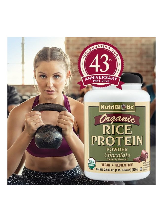 Nutribiotic NutriBiotic Certified Organic Rice Protein Chocolate, 22.9 Oz | Low Carbohydrate Vegan Protein Powder | Raw, Certified Kosher & Keto Friendly | Made without Chemicals, GMOs & Gluten | Easy to Digest - Image 4