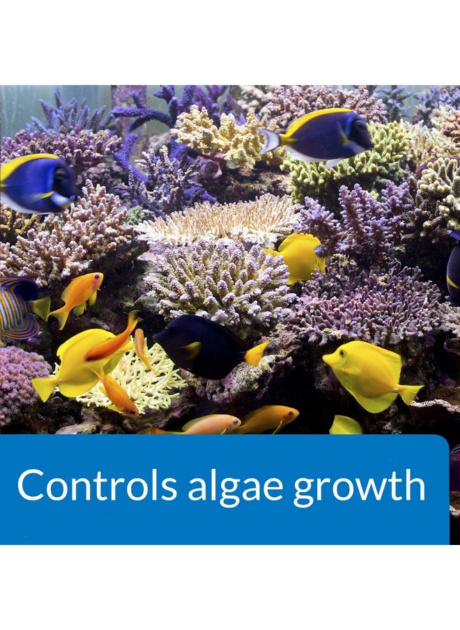 ايه بي آي زجاجة API MARINE ALGAEFIX للتحكم في الطحالب سعة 16 أونصة  - Image 4