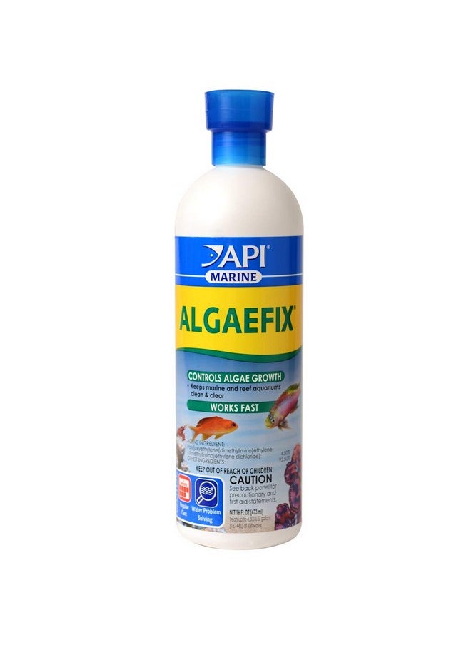 ايه بي آي زجاجة API MARINE ALGAEFIX للتحكم في الطحالب سعة 16 أونصة  - Image 1