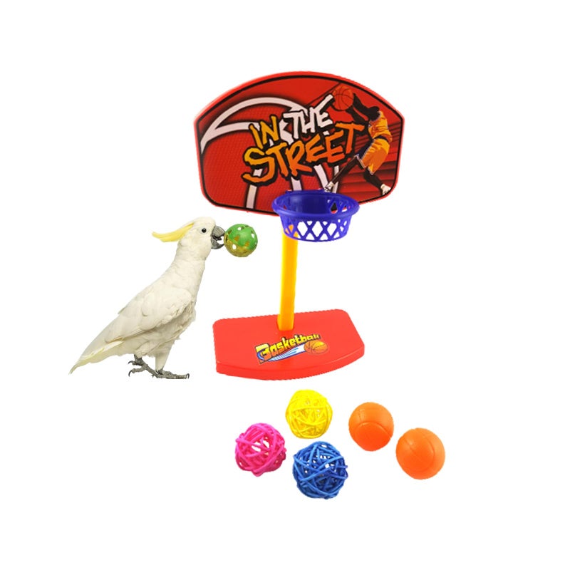 Fsocpen Parrot Intellective Mini Basketball Rack Training ToyBirdie Basketball Bird ToyBird Chew Ball Foraging Toys Parrot Activity Toys Bird Training Gym Toys - Image 2