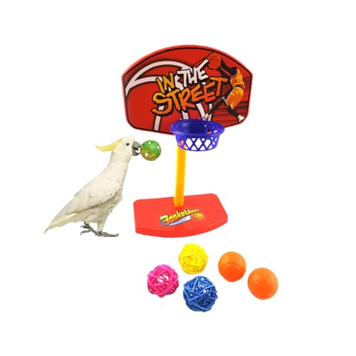 Fsocpen Parrot Intellective Mini Basketball Rack Training ToyBirdie Basketball Bird ToyBird Chew Ball Foraging Toys Parrot Activity Toys Bird Training Gym Toys - Image 1
