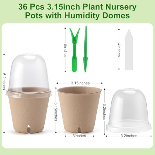 Baxrou 36 Set 3.15 Inch Peat Pots Plant Starters for Seedling with Humidity Dome,Herb Seed Starter Pots Kits, Garden Germination Nursery Pot wit 36 Plant Labels, 2 Transplant Tools. - Image 2