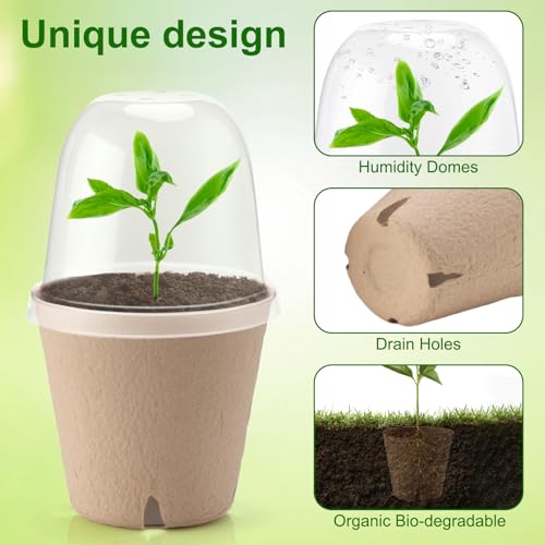 Baxrou 36 Set 3.15 Inch Peat Pots Plant Starters for Seedling with Humidity Dome,Herb Seed Starter Pots Kits, Garden Germination Nursery Pot wit 36 Plant Labels, 2 Transplant Tools. - Image 3