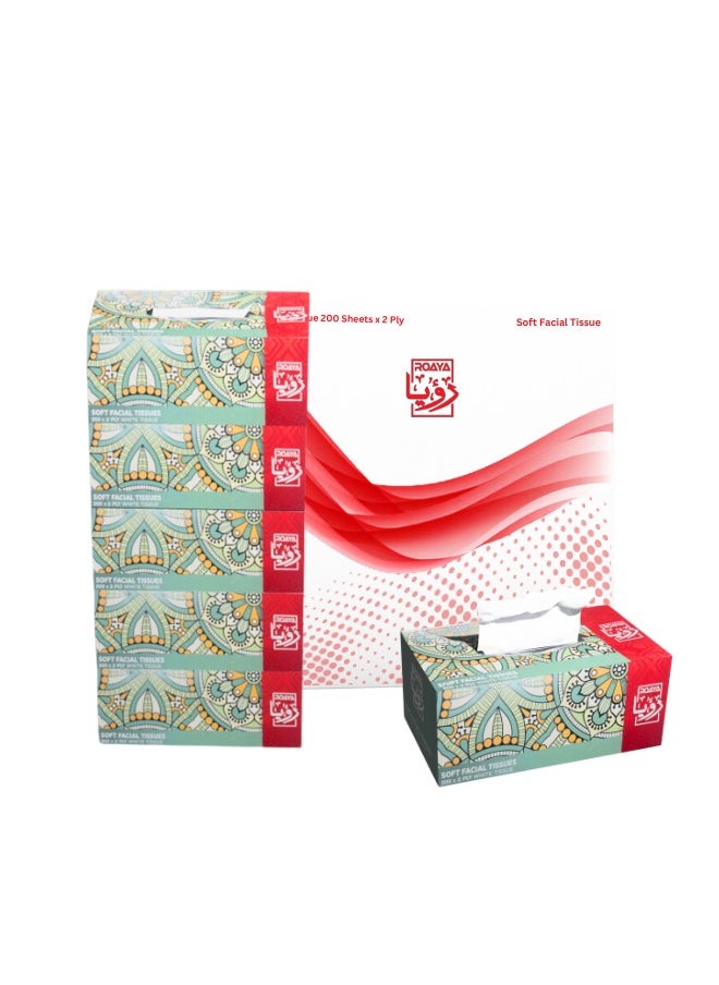 ROAYA Roaya Facial Tissue 200 sheets x 2 Ply - CTN  - Image 1