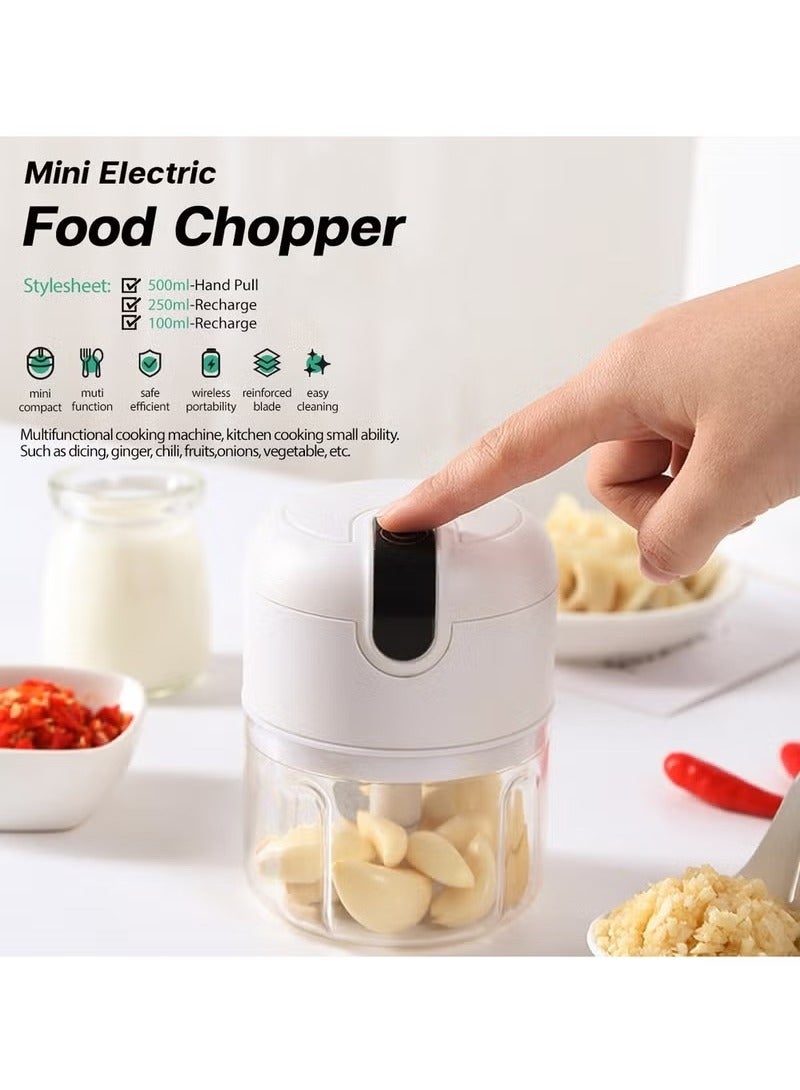 HOMESTAR Electric Food Chopper Mini Chopper, Perfect for Garlic, Onion, Fruits, Vegetables, with 3 Stainless Steel Blades, 250ml - Image 1