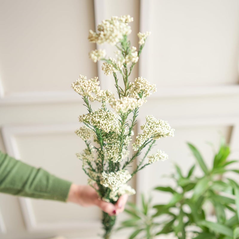 Arte Casa Arte Casa Dried Flower Rice Flower Fresh Look Flower Bunch Elegant and Chic Gift for Special Occasions Ideal for Anniversary Valentines Gift 3 Stems with Multiple Branches White  - Image 2