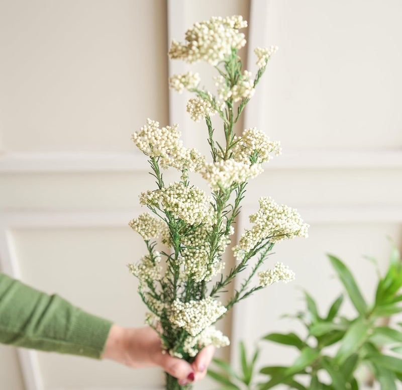 Arte Casa Arte Casa Dried Flower Rice Flower Fresh Look Flower Bunch Elegant and Chic Gift for Special Occasions Ideal for Anniversary Valentines Gift 3 Stems with Multiple Branches White  - Image 3