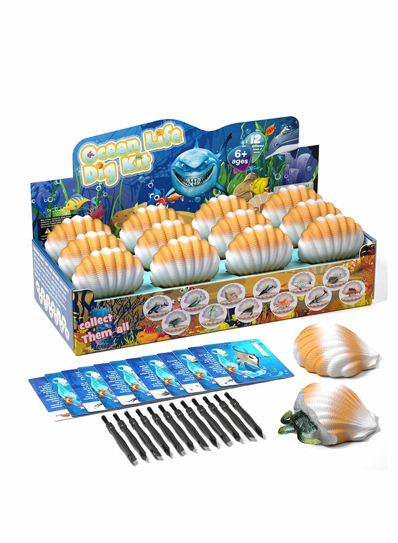 KASTWAVE Archaeological excavation toys 12 Different Fossil/Eggs with 12 Excavation Kits， Excavation Educational Science Gifts for Kids Party Archaeology Paleontology Toy (Ocean fossils) - Image 1