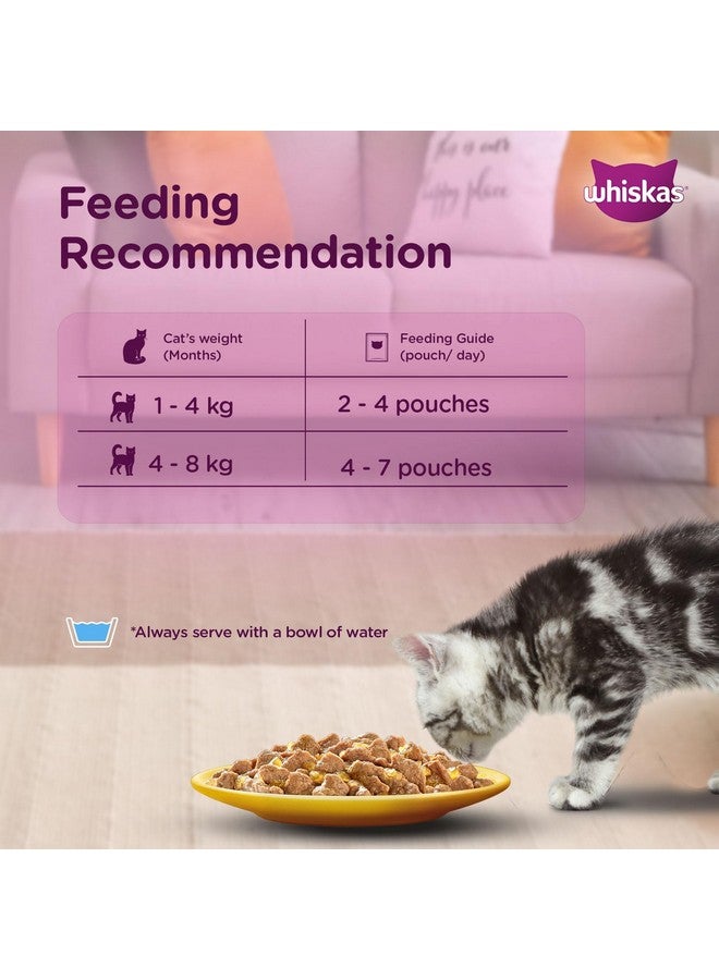 ويسكاس طعام قطط رطب جونيور كيتن (2-12 شهرًا)، دجاج مع سمك السلمون في الهلام، 80 جرامًا، طعام مرطب مصنوع من سمك حقيقي، تغذية كاملة ومتوازنة بنسبة 100% للقطط الصغيرة - Image 5