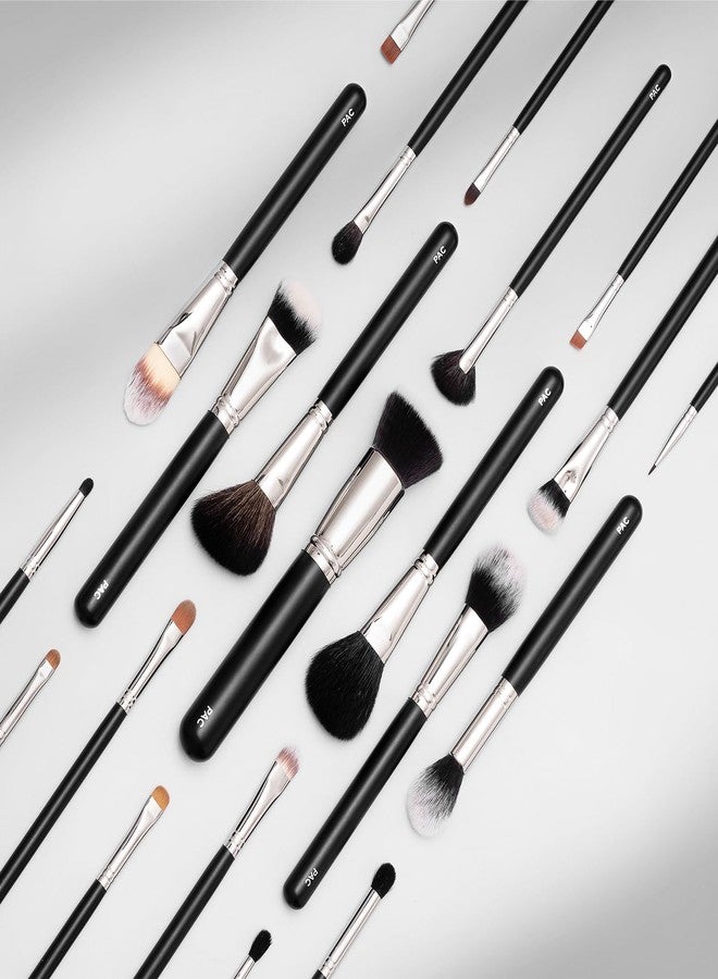 باك مجموعة أدوات التجميل الأساسية من PAC | مجموعة أدوات تجميل للمبتدئين والهواة، خفيفة الوزن، بمقابض مريحة، وحافظة صلبة، وحقيبة للفرش - Image 5