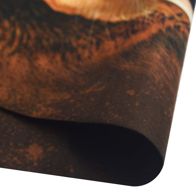 Obacle Animal Half Face Mask Sun Dust Wind Protection Durable Breathable Seamless Face Mask for Men Women Thin Neck Gaiter for Outdoor Sports (Bear Open Mouth Brown) - Image 5