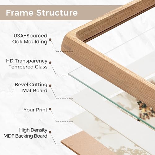 FLYJOE 11x14 Picture Frame, USA-Sourced Natural Oak Wood Photo Frame with Tempered Glass, Handcrafted Rounded Corner 11 x 14 Wooden Frame Matted to 8x10 Photos, Wall or Tabletop Display - Image 4