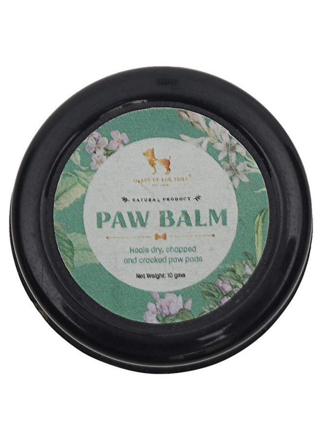 Heads Up For Tails Organic Paw Butter for Small Dogs (15 g) - pzsku/Z3CC722DA715CEBFEB57BZ/45/_/1737721337/6e08c44b-6723-43d9-982a-cf36beb3a37d