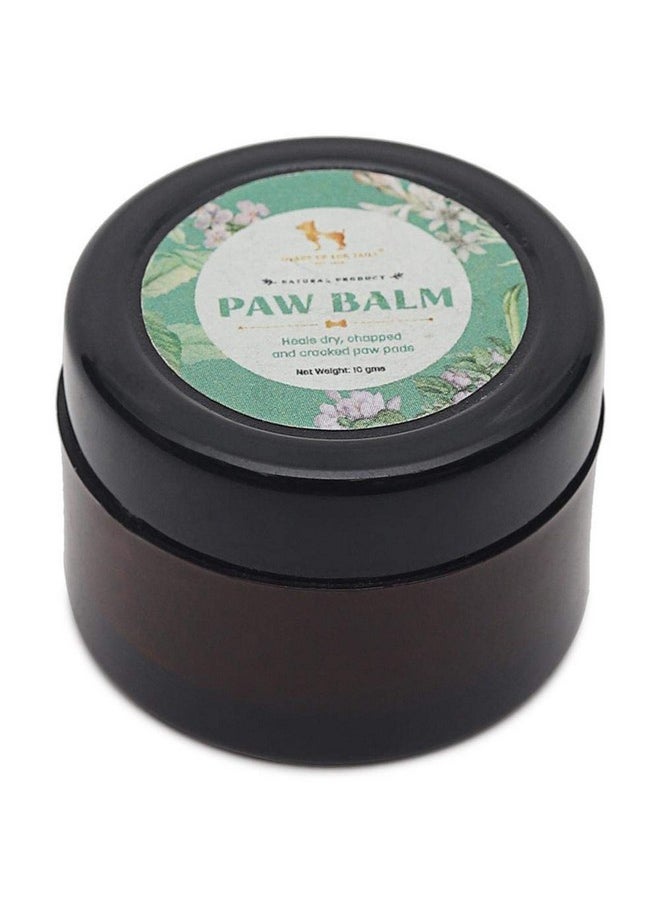 Heads Up For Tails Organic Paw Butter for Small Dogs (15 g) - pzsku/Z3CC722DA715CEBFEB57BZ/45/_/1737721343/09f752a0-eda2-49f8-a6fe-14c188292f74