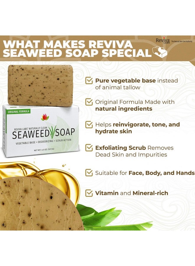 Reviva Labs Reviva Seaweed Soap - 6 Pack - Organic Seaweed Face Scrub and Exfoliating Body Scrub Soap Bar - 4.5 oz. Vegetable Base Natural Bar Soap and Seaweed Bath Detox Soap Made in the USA - Image 4
