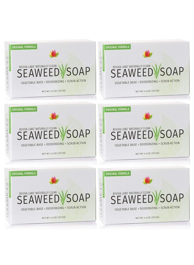 Reviva Labs Reviva Seaweed Soap - 6 Pack - Organic Seaweed Face Scrub and Exfoliating Body Scrub Soap Bar - 4.5 oz. Vegetable Base Natural Bar Soap and Seaweed Bath Detox Soap Made in the USA - Image 1