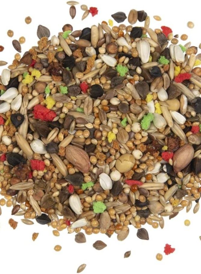 Witte Molen طعام الطيور الريفية 600 جرام - Image 2