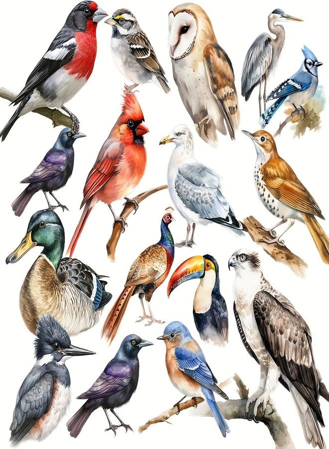 SLGIFT 40pcs Vintage Cartoon Bird Stickers Colorful Hand-Drawn Watercolor Animal Decals Self-Adhesive Paper Stickers for DIY Journal Notebook Laptop & Wood Décor Journal Decoration | Whimsical Design - Image 1