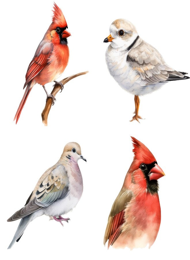 SLGIFT 40pcs Vintage Cartoon Bird Stickers Colorful Hand-Drawn Watercolor Animal Decals Self-Adhesive Paper Stickers for DIY Journal Notebook Laptop & Wood Décor Journal Decoration | Whimsical Design - Image 5