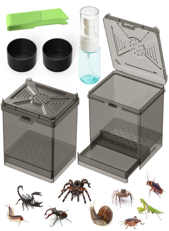 NOMOY Spider Habitat Kit - Ready-to-Use Box for Small Insects,Dubia Roach, Cockroaches, Crickets, Scorpions, Centipedes, Mantises & Snails 3.74''x3.15''x3.35''(No Assembly Needed) - Image 1