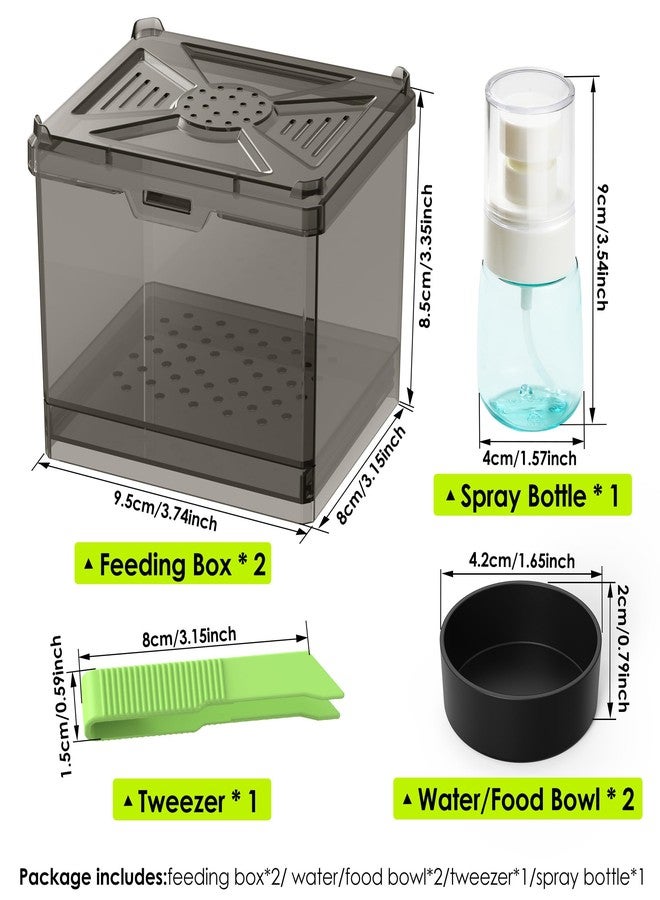 NOMOY Spider Habitat Kit - Ready-to-Use Box for Small Insects,Dubia Roach, Cockroaches, Crickets, Scorpions, Centipedes, Mantises & Snails 3.74''x3.15''x3.35''(No Assembly Needed) - Image 2