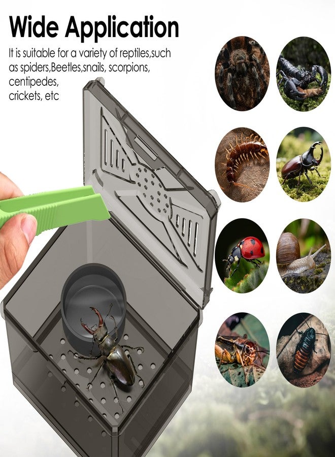 NOMOY Spider Habitat Kit - Ready-to-Use Box for Small Insects,Dubia Roach, Cockroaches, Crickets, Scorpions, Centipedes, Mantises & Snails 3.74''x3.15''x3.35''(No Assembly Needed) - Image 3