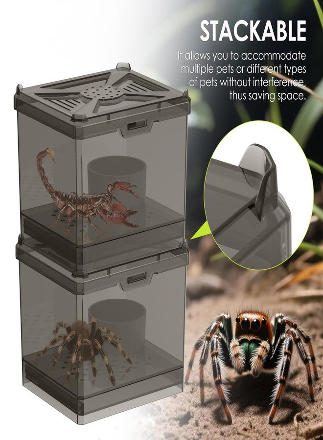 NOMOY Spider Habitat Kit - Ready-to-Use Box for Small Insects,Dubia Roach, Cockroaches, Crickets, Scorpions, Centipedes, Mantises & Snails 3.74''x3.15''x3.35''(No Assembly Needed) - Image 5