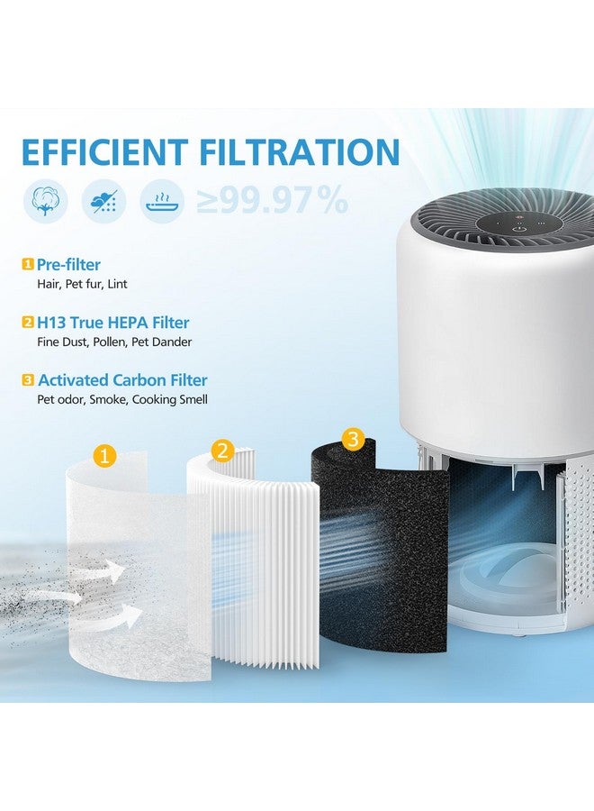 isingo عبوة 4 فلاتر استبدال H13 True HEPA الأساسية الصغيرة لجهاز تنقية الهواء LEVOIT Core Mini، استبدال فلتر 3 في 1 Core Mini-RF - Image 3