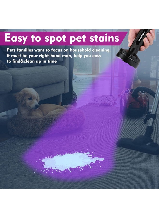 EverBrite Uv Flashlight, 128 Led Blacklight Flashlights, 395Nm Black Light Flashlight For Pet Urine Detection, Carpet, Scorpions And Bed Bug, Batteries Included - Image 2