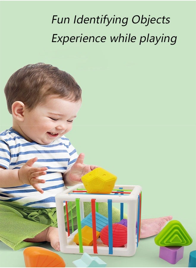 Arabest - Educational Toys Sensory Cognitive Training Rainbow Cecil Block Matching Box - Image 1