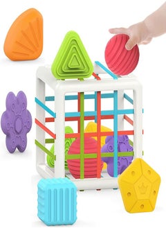 Educational Toys Sensory Cognitive Training Rainbow Cecil Block Matching Box