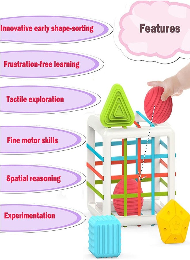 Arabest - Educational Toys Sensory Cognitive Training Rainbow Cecil Block Matching Box - Image 1