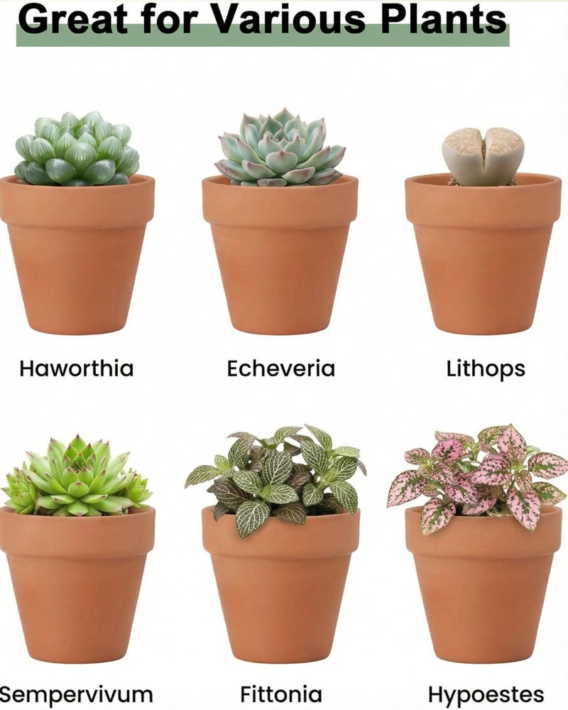 Riseuvo 32pcs 2" Small Mini Terracotta & Clay Pot Planter - Cactus Flower Nursery Terra Cotta Pots with Drainage, Perfect for Indoor/Outdoor Plants, Crafts - Image 3