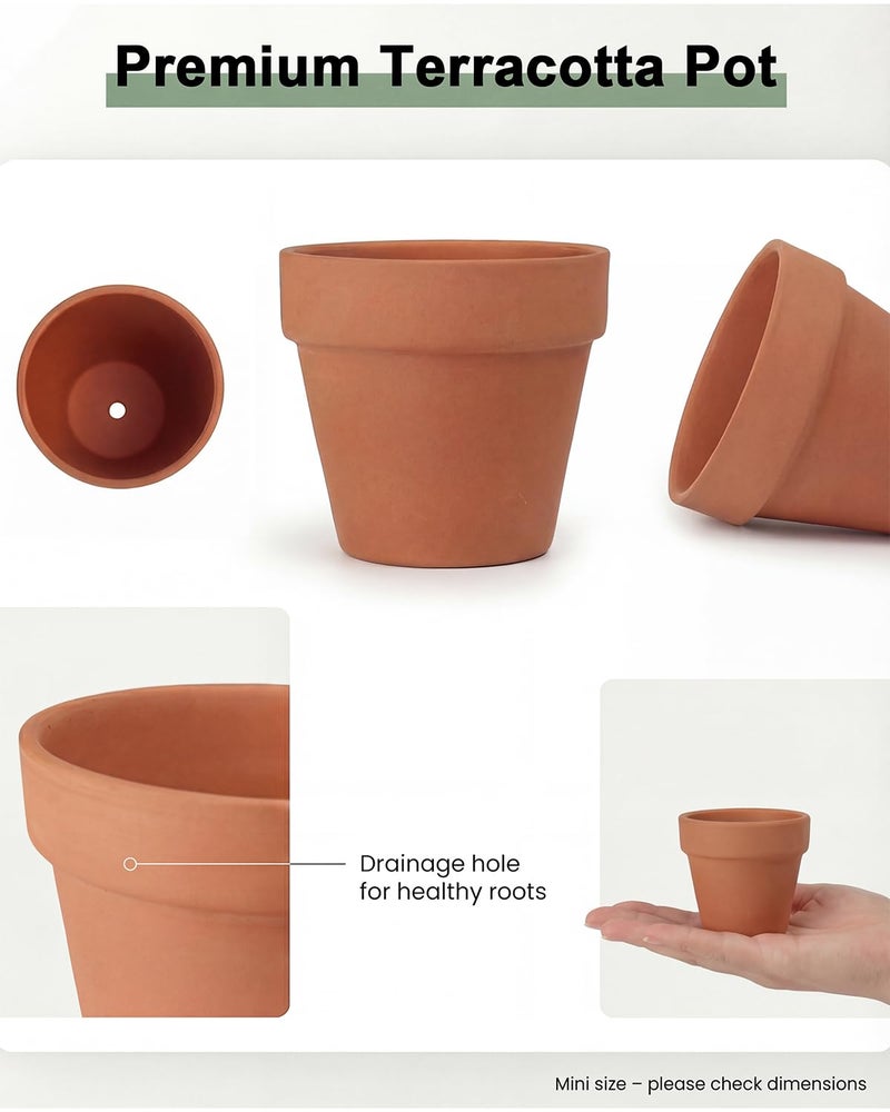 Riseuvo 32pcs 2" Small Mini Terracotta & Clay Pot Planter - Cactus Flower Nursery Terra Cotta Pots with Drainage, Perfect for Indoor/Outdoor Plants, Crafts - Image 4