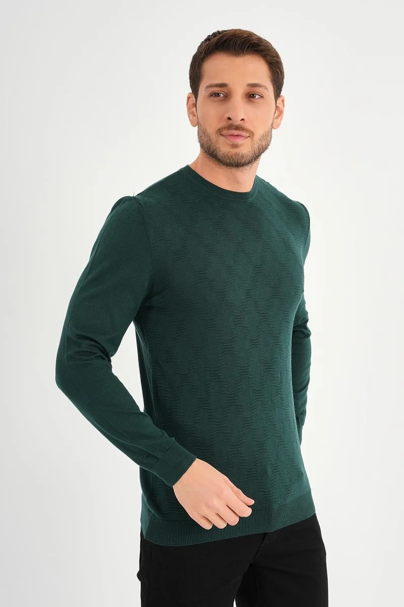 Alexander Gardi Crew Neck Patterned Sweater (E20-511402)