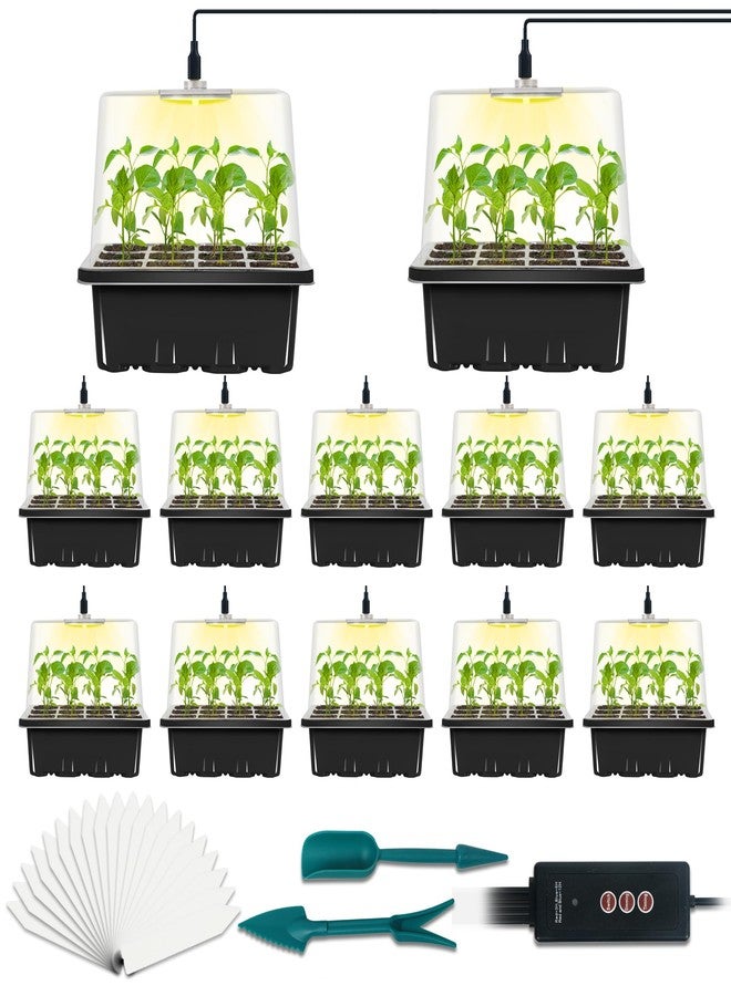LYDTICK 12-Set Seed Starter Tray with Grow Light, Seed Starting Trays Kits with Timing Controller Adjustable Humidity Domes Heightened Lids(12-Cells Per Tray) - Image 1