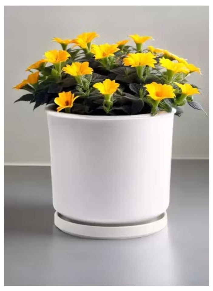 vsell24 White Ceramic Flower Pots with Drainage Hole – Elegant Succulent Garden Planters for Indoor & Outdoor Decor  - Image 1