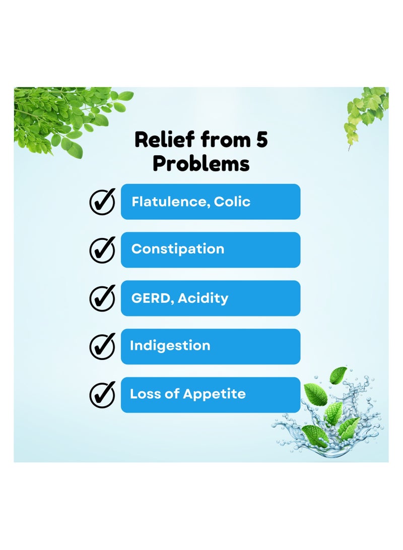 بي دي ايه فارما الايورفيدا شراب الأعشاب الهضمي - Image 4