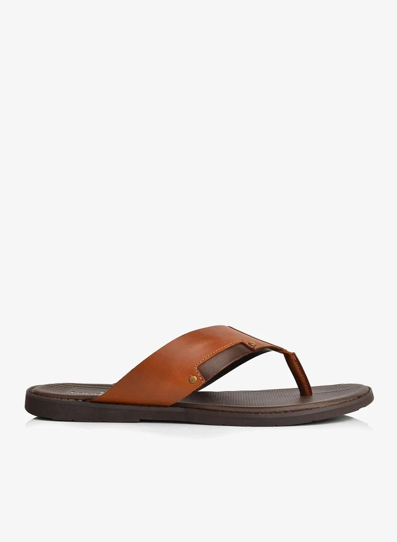 لانجوتش صنادل أليكس